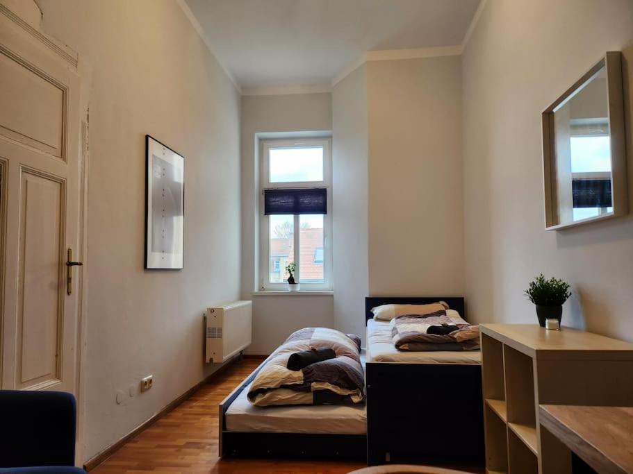 4 Raum Wohnung Mit Balkon Auf 120Sqm In Top Lage Dresden Exteriör bild